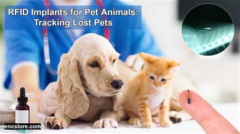 news rf id implants|rfid implants for pets.